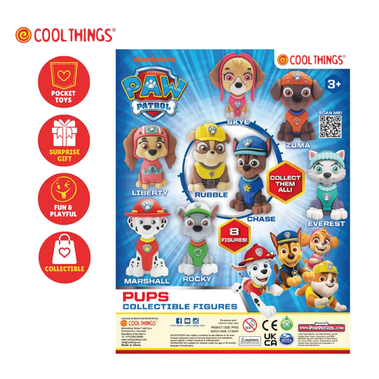 Paw Patrol Surprise