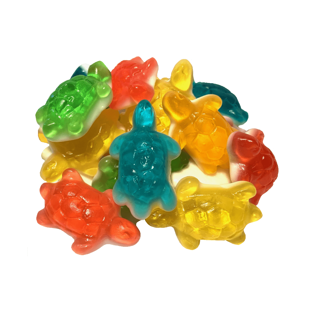 Turtle Sticky Toy Gummy Turtles 200g – Sticky's Garrison Ice Cream, Candy & Gifts