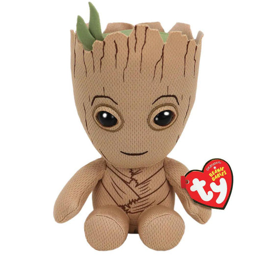 TY Groot